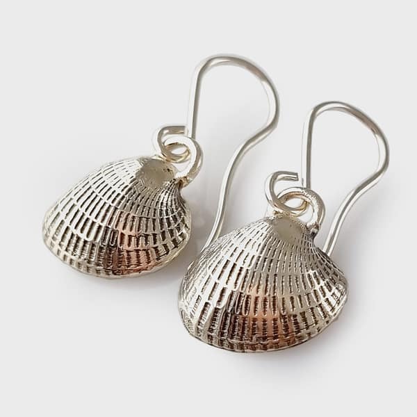 ERss386 Sterling silver ' mini Cockle ' shells - Little Bay Coromandel - earrings 2.5cm drop (short hook)