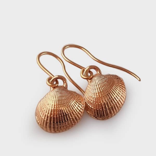 ER -9R386   ROSE Gold ' mini Cockle ' shells - Little Bay Coromandel - earrings